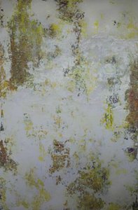 «Distressed Earth» – Sammendrag av Deb Chaney