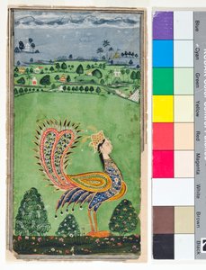 Mytisk påfugl med kvinnehode, ca. 1750 (ugjennomsiktig m/c og gull på papir)