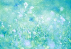 Aqua Butterfly Dream av Delphine Devos