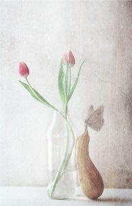  av Delphine Devos