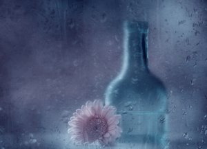 Drømmende, regnfull gerbera av Delphine Devos