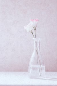 av Delphine Devos
