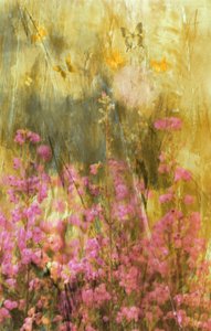 Sommerfuglene i Golden Meadow av Delphine Devos