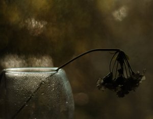 Melankolisk blomstring av Delphine Devos