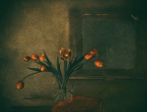 Stemningsfulle oransje tulipaner av Delphine Devos