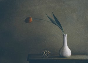 Stilleben med stemningsfulle tulipaner av Delphine Devos