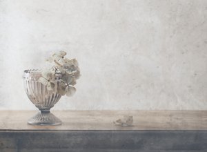 Stillbilde av dempede tørkede blomster av Delphine Devos