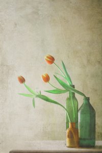  av Delphine Devos