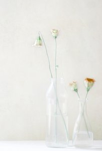 Blekblomster i glass av Delphine Devos