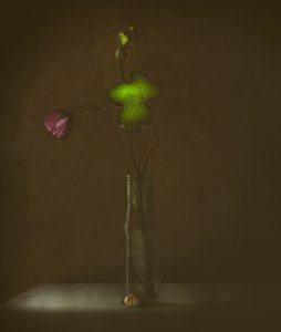Stille blomst og blad av Delphine Devos