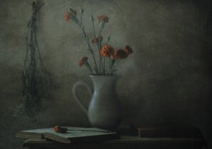 Stilleben med stille nelliker av Delphine Devos