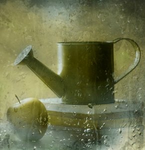 Stilleben ved et regnfullt vindu av Delphine Devos