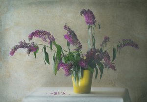 Rustikt blomsterstilleben av Delphine Devos