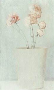 Myke, falmede blomster av Delphine Devos