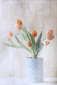  av Delphine Devos