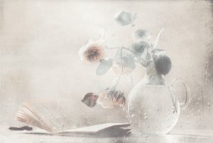 Myke roser, åpen bok av Delphine Devos