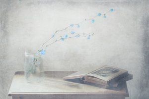 Gammel bok og blå blomster av Delphine Devos