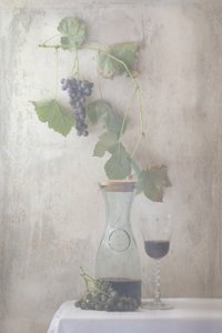 Stillbilde av vintagedruer og vin av Delphine Devos