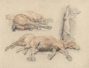 Studier av et hestekadaver og en død hengt hund av Denis Auguste Marie Raffet