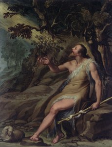 Døperen Johannes i villmarken