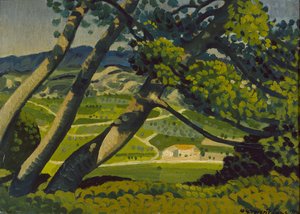 Trær, Provence, 1912