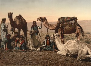 Camels Halting in the Desert, Holy Land, ca. 1890 (fotomekanisk trykk) av Detroit Photographic Co.