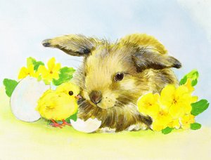 Påskehare med primula og kylling