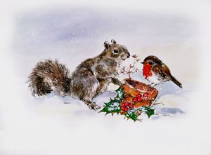Ekornet og Robin