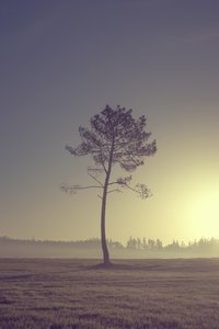 Tre på veien, 2016 (digitalt fotografi)