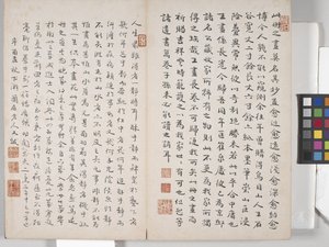 Album Of Landscape Paintings (blekk på papir) av Ding Yunpeng