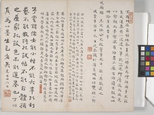 Album Of Landscape Paintings (blekk på papir) av Ding Yunpeng
