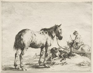 En hest festet til en stake av Dirck Stoop