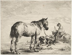 Hest bundet til en stolpe