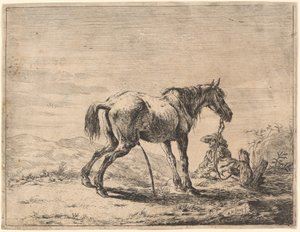 Oppdra hest i nærheten av en stall av Dirck Stoop
