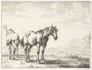 To hester i et landskap Hester (serietittel)