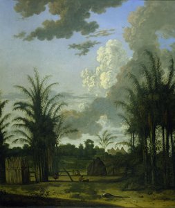 Plantasje i Surinam