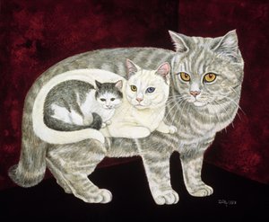 Russisk katt av Ditz