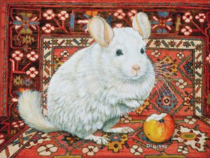 The Carpet-Chinchilla, 1992 av Ditz