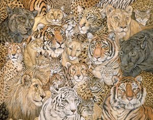 Wild Cat-Spread, 1992
