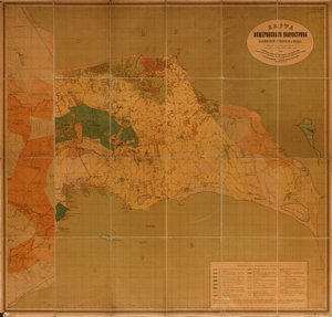 Viser eiendomseierskap etter eiertype, traktatidentifikasjonsnummer og typer arealbruk. Relieff vist av konturer, hachures og punkthøyder. av Dmitrīev; Kartograficheskoe Zavedenīe A. IlʹIna