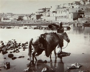 A Watering Place, 1880-tallet