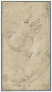 Studie av to barnearmer av Domenichino