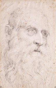 Hodet til Saint Hieronymus av Domenichino