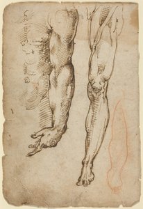 Anatomiske studier av Domenico Beccafumi