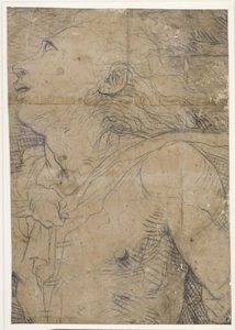 Ung mann som ser opp (halvfigur), fragment av en kartongskisse av Domenico Beccafumi