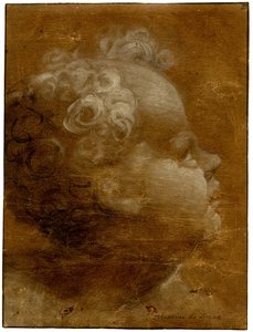  av Domenico Beccafumi