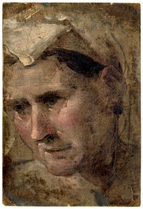  av Domenico Beccafumi