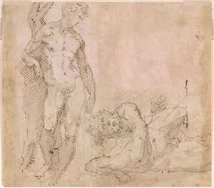  av Domenico Beccafumi