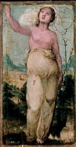 Kvinnefigur. Maleri av Domenico Beccafumi (1486-1551). Siena, konservatoriet av Domenico Beccafumi