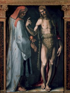 Triptych of the Trinity, Detalj venstre panel: Saint Cosimo (Kom eller Cosimo) og Saint John the Baptist. Maleri av Domenico Beccafumi (1486-1551) av Domenico Beccafumi